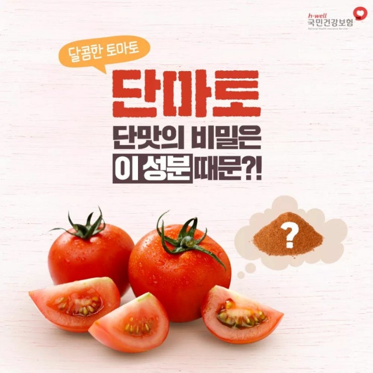  [단마토 성분] 단맛의 비밀