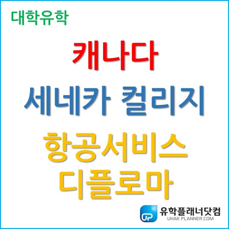 캐나다 세네카컬리지 Seneca College의 항공서비스학 Flight Service 2년 디플로마!