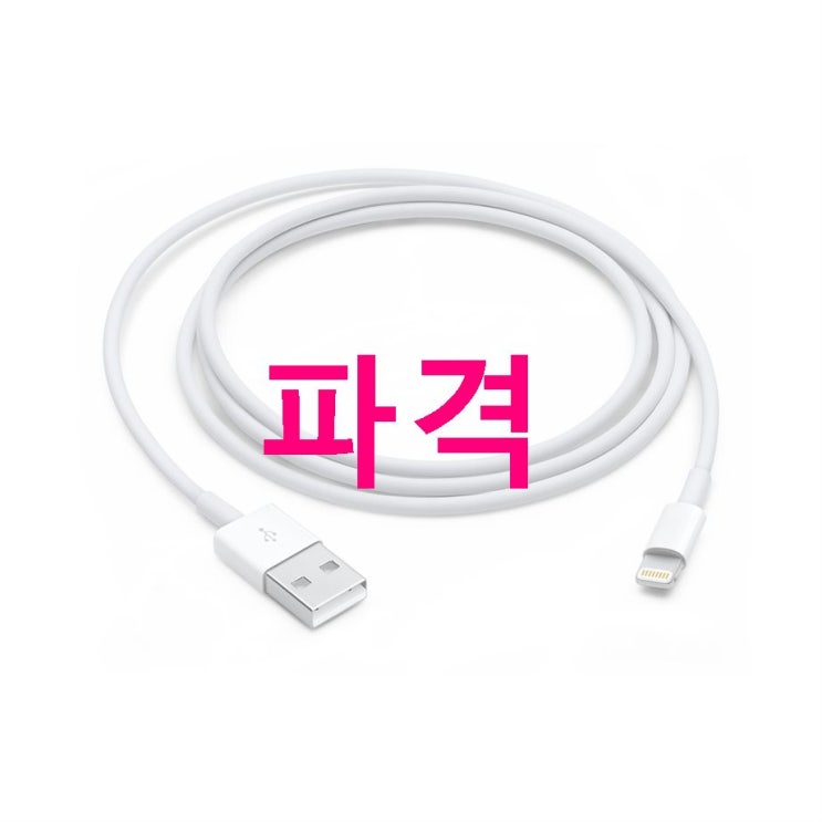07월 제품 애플 라이트닝 to USB 케이블 1m MXLY2FE/A 할인받기