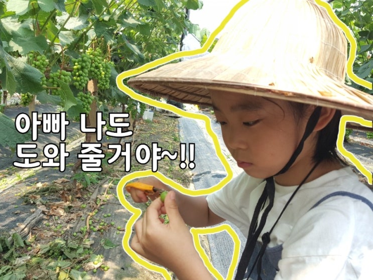  알솎기 하는법