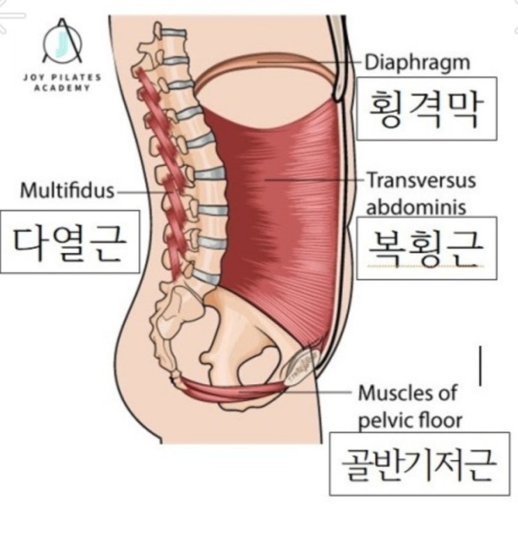  코어근육강화에 좋은 훌라댄스!