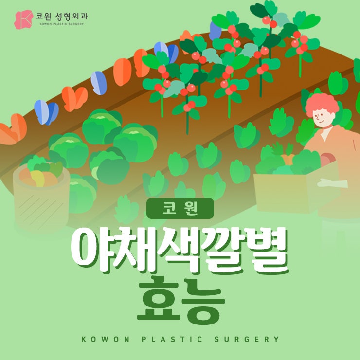 야채색깔별효능 영양소가 다 달라요