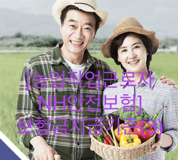  [농업작업근로자NH안전보험]-보험금지급기준(3)