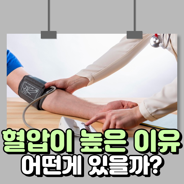  혈압이 높은이유 어떤게 있을까?