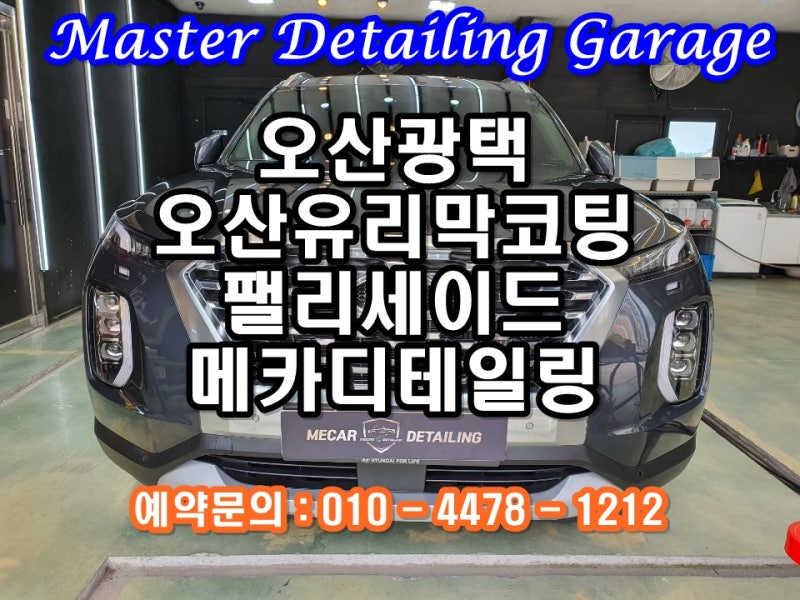 오산 수목원로 / 코팅 / 현대 / 팰리세이드