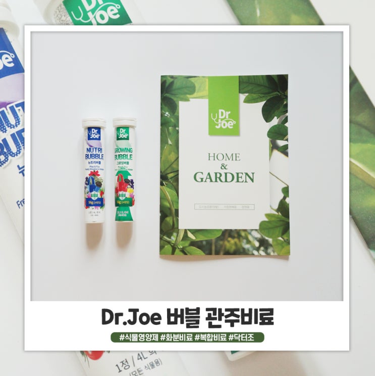 초보 식물집사 누보샵 닥터조 식물영양제 쓰고 있어요 초보 식물집사 누보샵 닥터조 식물영양제 쓰고 있어요