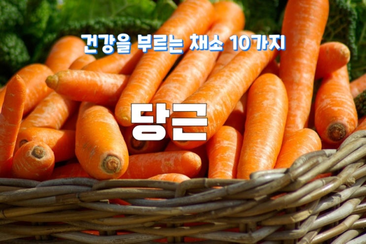 건강을 부르는 채소 10가지 건강을 부르는 채소 10가지