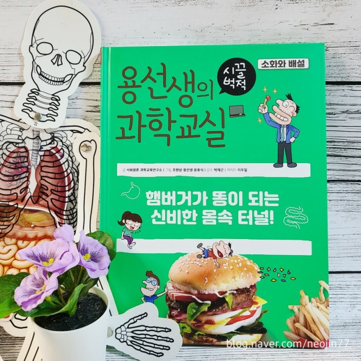 용선생과학 초등과학책추천 NO.13 소화와배설 아이와 재미있는 초등과학 독서이야기 용선생과학 초등과학책추천 NO.13 소화와배설 아이와 재미있는 초등과학 독서이야기