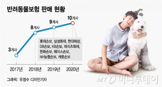 4000마리 중 1마리만 가입…"주인님, 펫보험 왜 안드시개?"