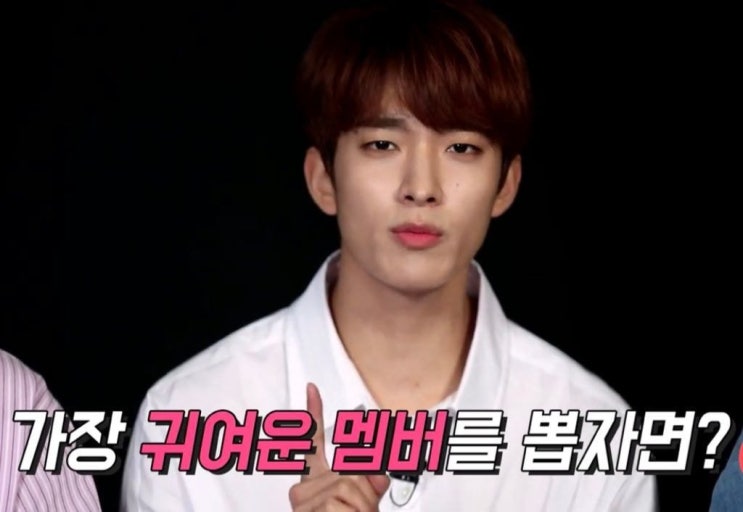 주기적으로 봐줘야 하는 세븐틴 네컷 만화 주기적으로 봐줘야 하는 세븐틴 네컷 만화