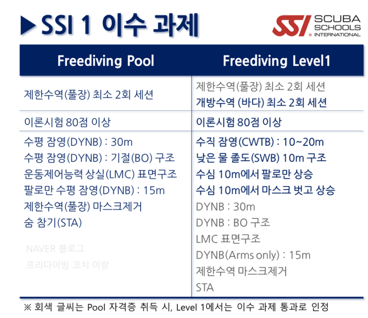 [대구 프리다이빙] SSI 1 레벨 커리큘럼 및 가이드(테스트 항목별 난이도, 멀미약 추천 등)