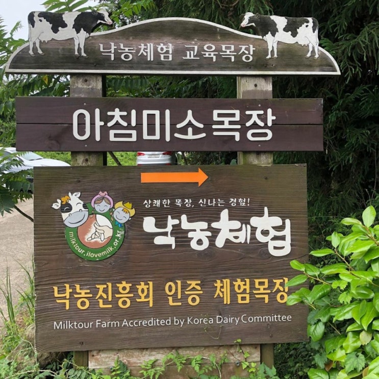 가보길 잘한 제주 아침미소목장