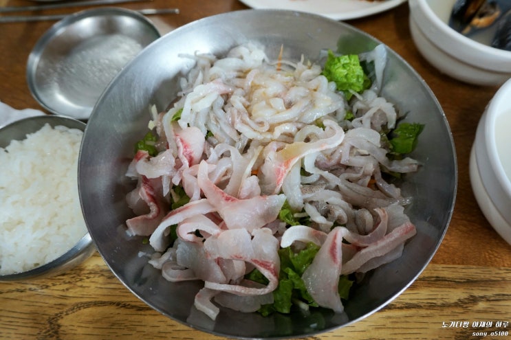 회덮밥 경주맛집 경주용산회식당 나의 최애 밥집