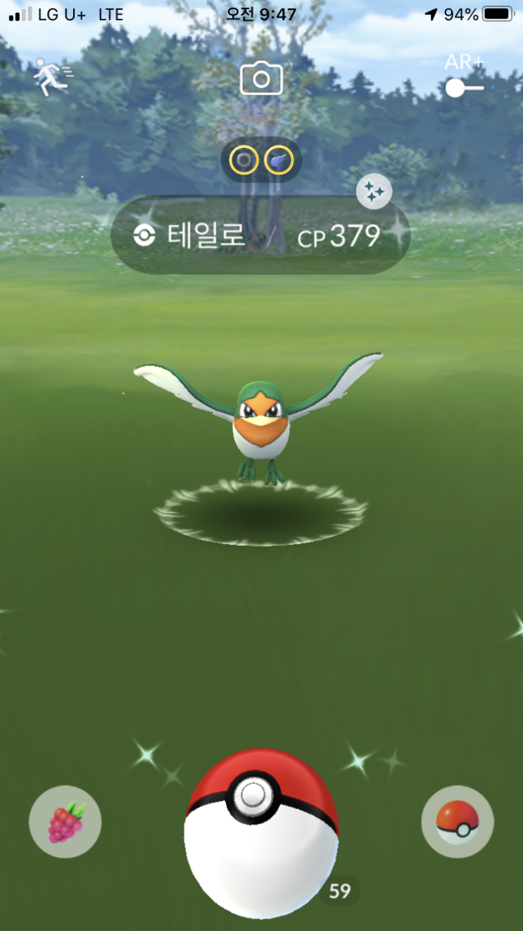  테일로 이로치 외