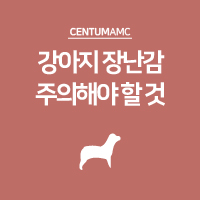  강아지 장난감, 주의해야 할 것