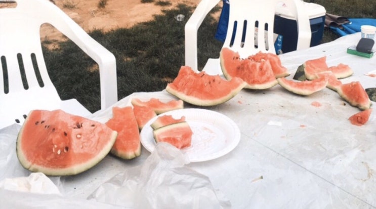 고정관념을 깨버린 네모난 수박 「 큐브수박 」
