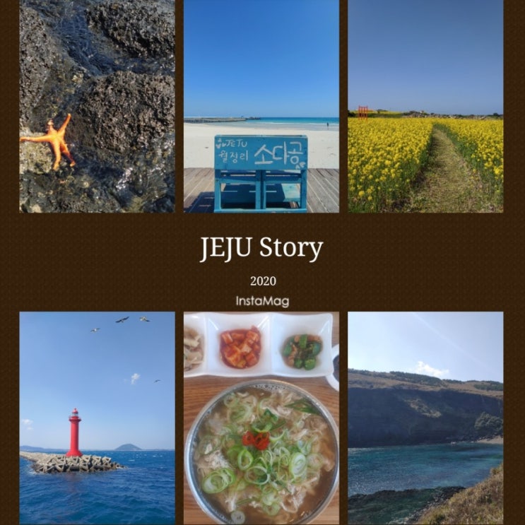  [제주도] 다시 제주 여행 II . 월정리해변 - 월정곰닭, 머뭄카페 /  우도 여행 - 우도 가는법, 하고수동해수욕장, 유채꽃밭, 검멀레