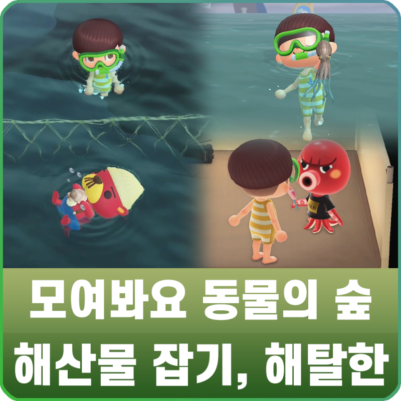 모여봐요 동물의 숲 공략 - 모동숲 잠수복, 스노클 얻는 법 / 해산물 잡기 / 해탈한 만나기 : 네이버 블로그