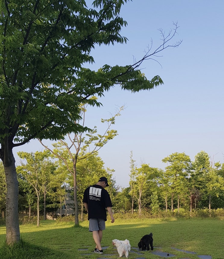  2020.07.03 (2) 일상기록
