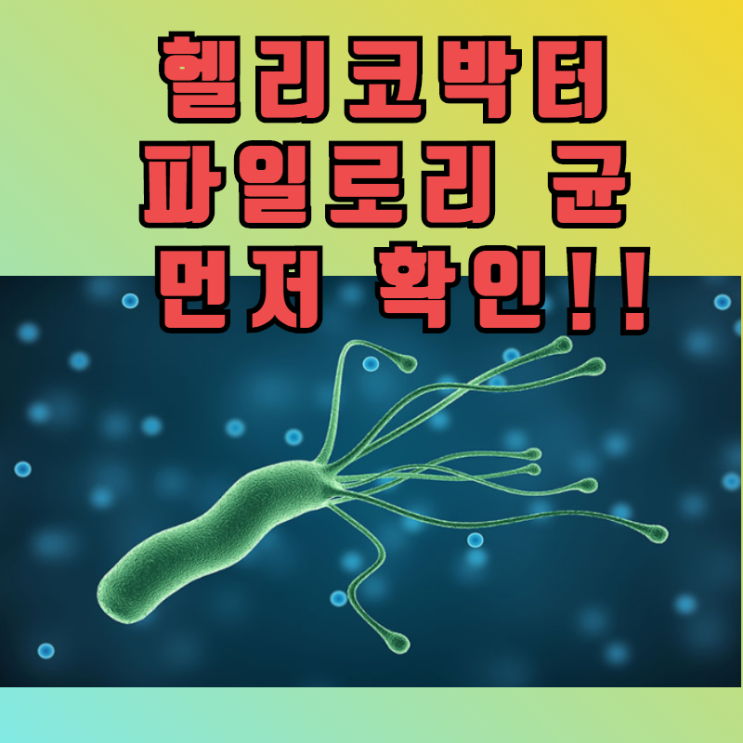  바이오해킹 치트키 1# 헬리코박터 파일로리균 확인 및 제거 - 장상피화생과 만성위축성위염과 무관하게