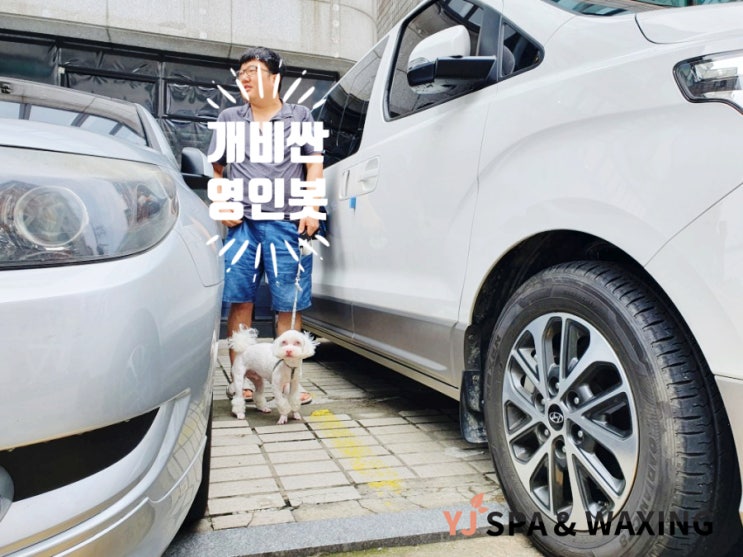  길냥이 밥 챙겨주며 1일 1산책하는 알비노 강아지 베베와 영인봇