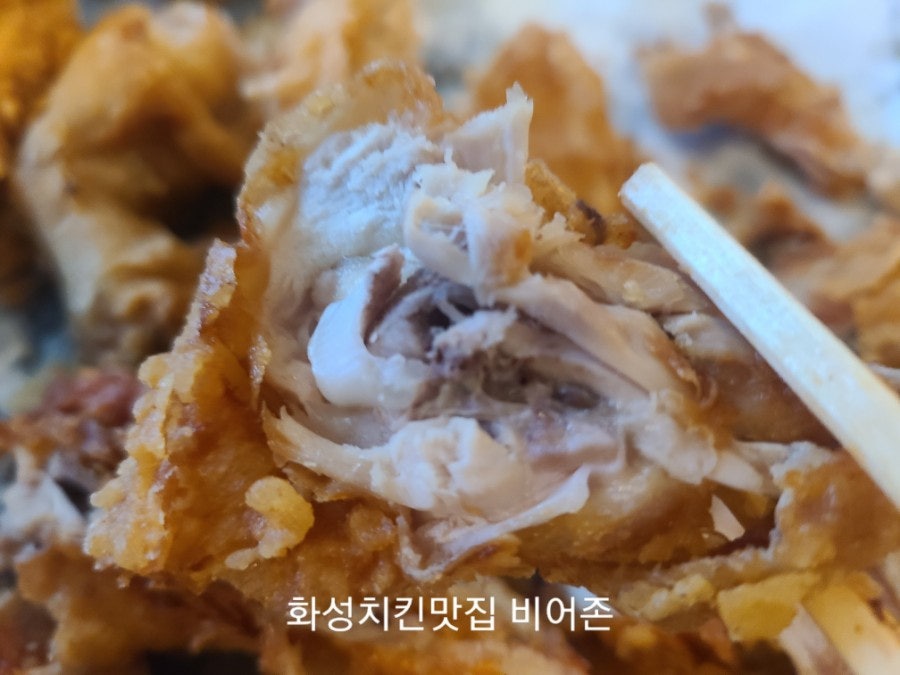 비어존 사진 3