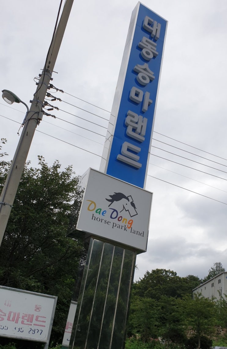  김해 대동승마랜드 즐거운 가족 나들이