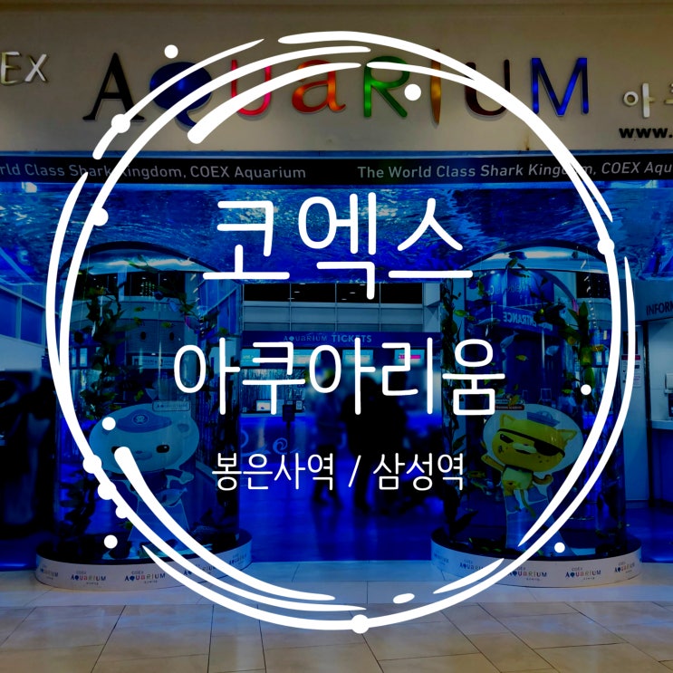  서울 나들이 삼성동 코엑스 아쿠아리움 네이버 예약으로 할인받고 구경 가요
