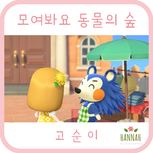 모동숲 방문 주민 공략 : 고순이, 옷가게 공사 키트, 에이블 시스터즈 옷가게, 피팅룸, 고순이 언니 고옥이 모동숲 방문 주민 공략 : 고순이, 옷가게 공사 키트, 에이블 시스터즈 옷가게, 피팅룸, 고순이 언니 고옥이