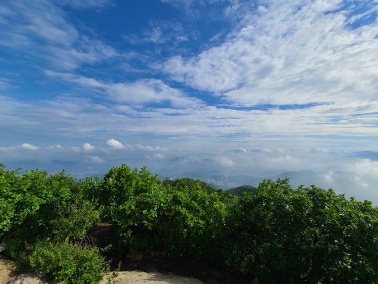  청계산 매봉 6km 새벽등산 (주차장 이용)