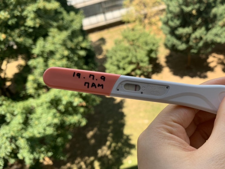  햇살이 내게 쏟아졌다.