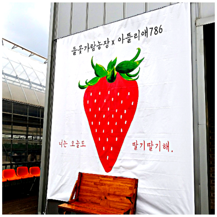  연천 들꽃가람체험농장에 딸기만나러 갔어요^^_헬로우유리