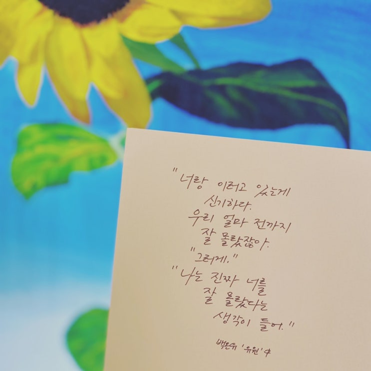  책장 속 한 줄: 백온유 '유원' 3
