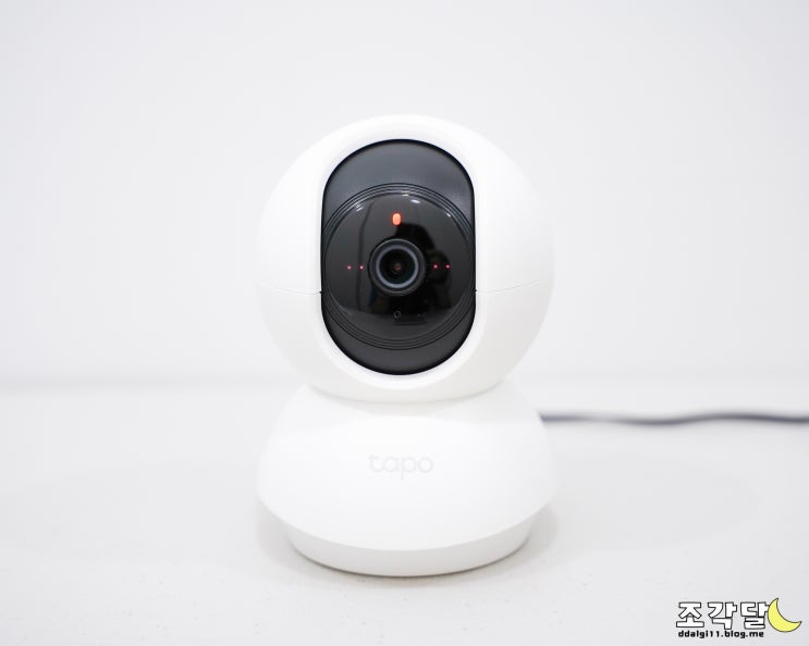  스마트폰 연동 티피링크 강아지 홈 CCTV 설치했어요!