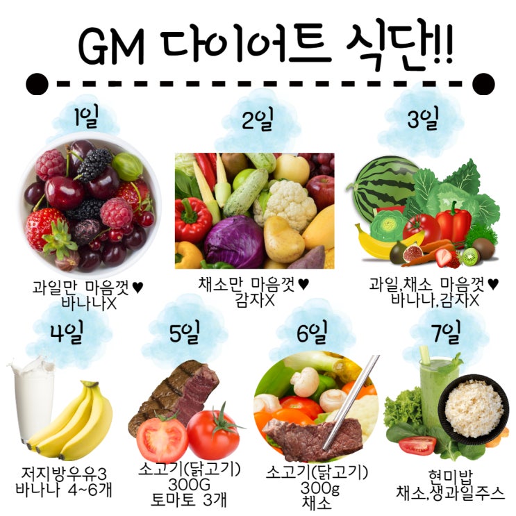  GM다이어트 1일차 생애 첫 다이어트 도전! (식단표 첨부)