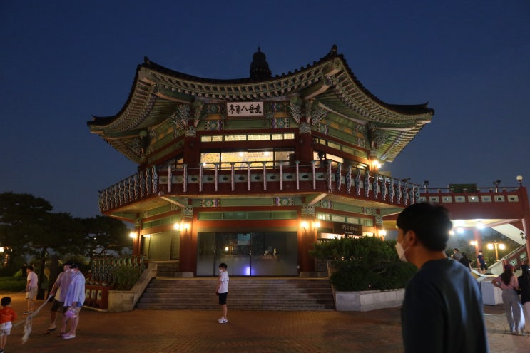  서울 야경 북악스카이웨이 애견동반 산책 주차장 이용