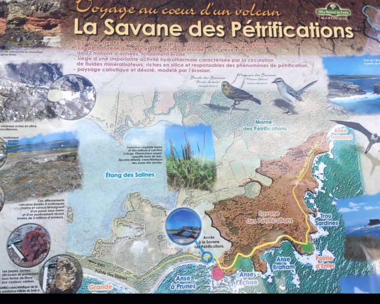 마르티니크: La Savane des Pétrifications_카리브해의 열대 초원지대