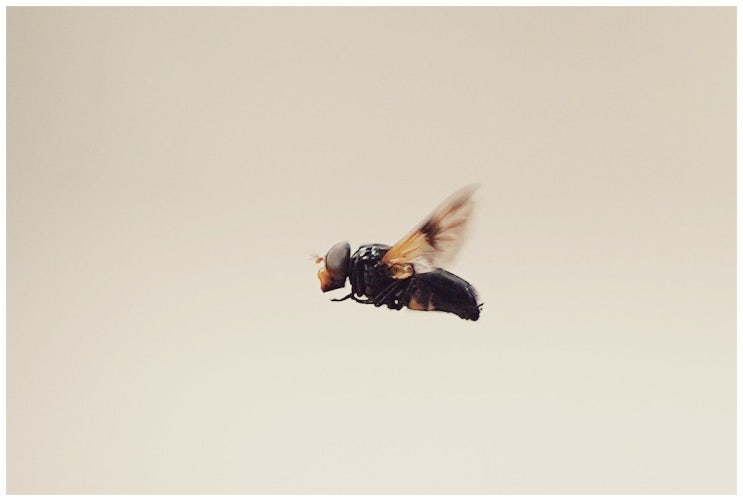  토요일 산책중에 (a7m3 + 탐론 70-180/2.8)