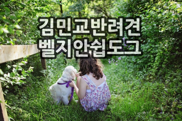  김민교 반려견에게 물린 할머니 결국 돌아가셨네요.