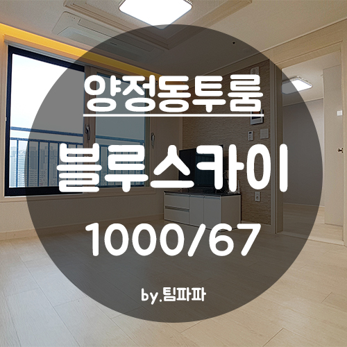  [부산 양정동] 양정역 신축급 투룸 블루스카이 월세