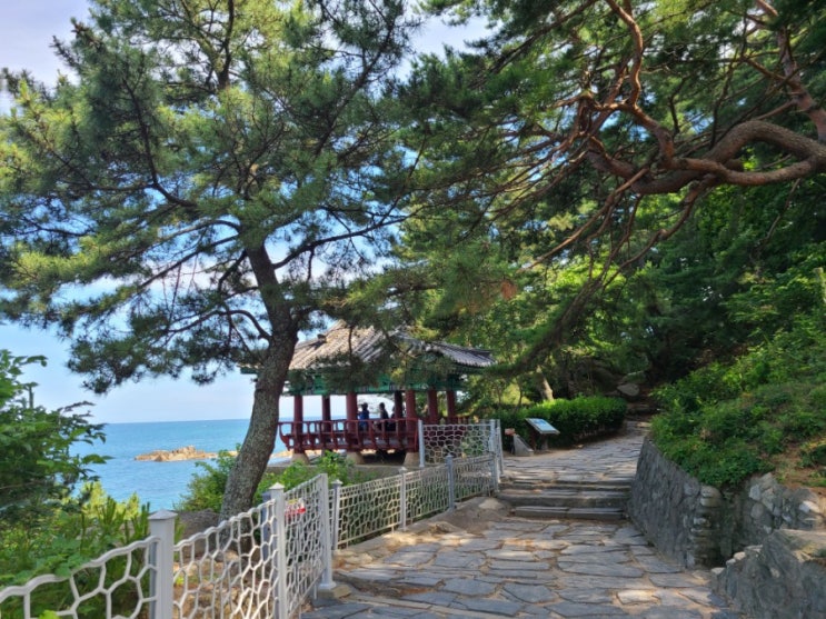  가파른 해안 절벽 위에서 바라보는 동해안의 풍경이 일품인  【고성8경 청간정, 천학정】