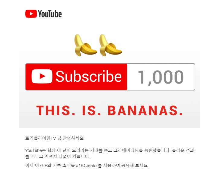  유튜브채널 트리클라이밍TV 1000명 축하메일 받았어요.