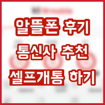  [알뜰폰후기] 초간단 셀프개통하기 | 사용후기 | 사은품수령 | 알뜰폰 통신사 추천