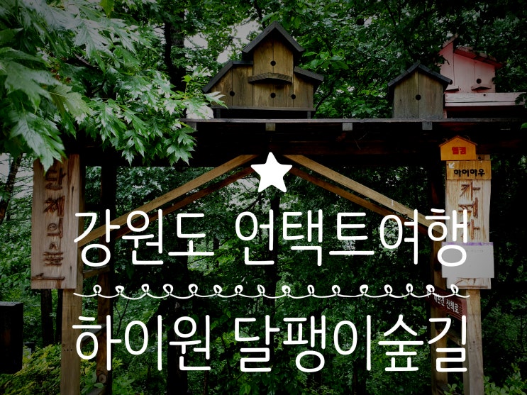  강원도 언택트여행지 하이원리조트 지그재그 달팽이숲길 트레킹