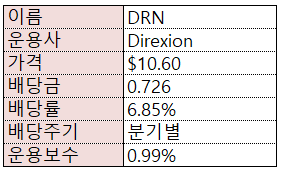  레버리지 x3 리츠 Real Estate 미국 ETF - DRN
