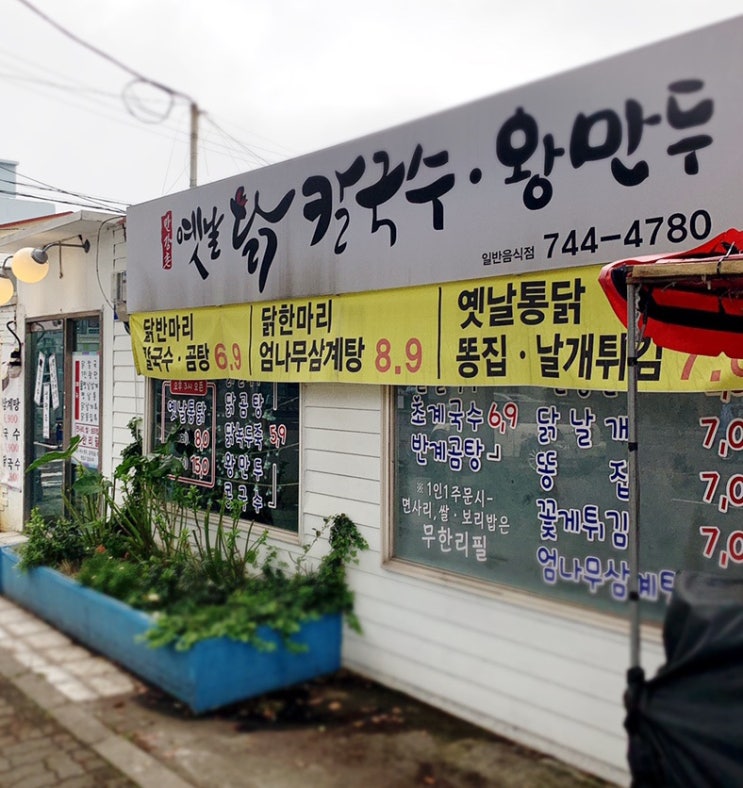  아는 사람만 알고 찾아간다는 제주도 현지인 맛집[노형동, 만강촌 옛날 닭칼국수. 왕만두]