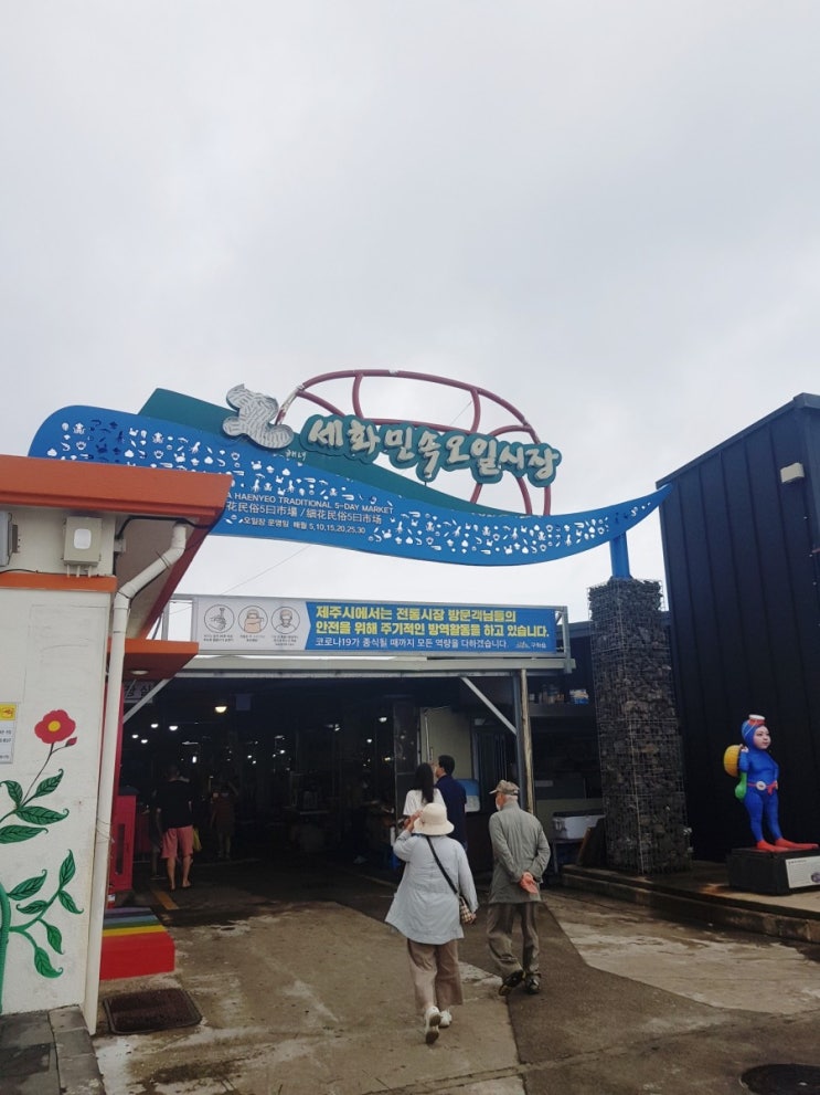  슬기로운 제주구경 세화민속오일시장 동백동산 제주습지보호지역