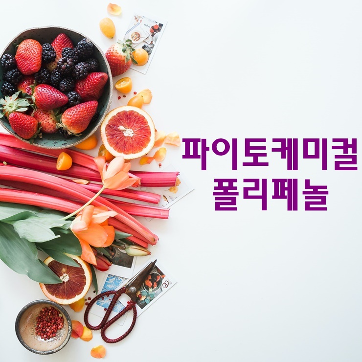  파이토케미컬, 폴리페놀