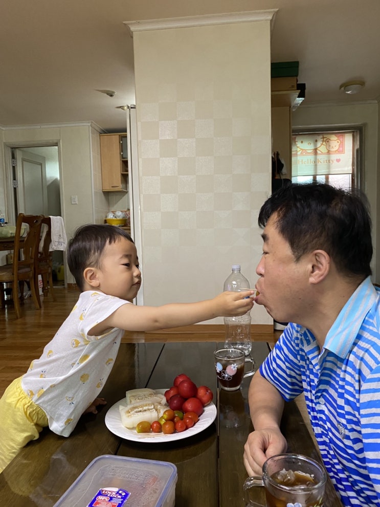 나무아빠의 육아일기(111)