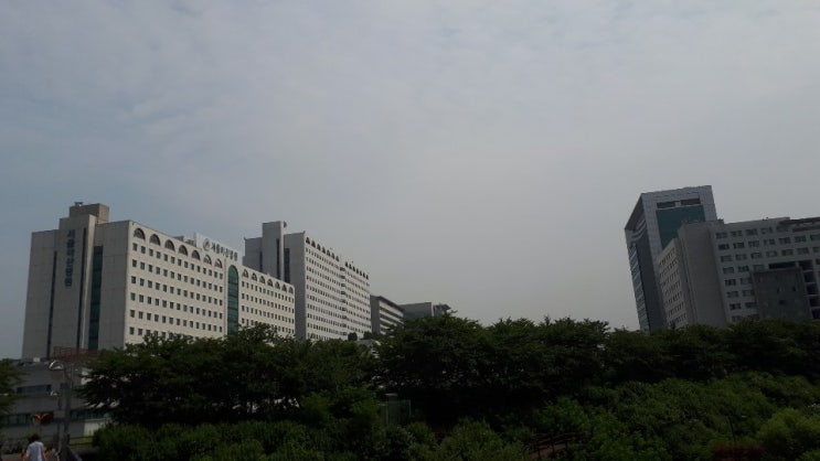  일상 - 우리가 하고 싶은 것, 진실로 소중한 것은